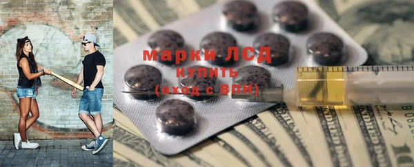 гашик Аркадак