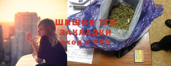 гашик Аркадак