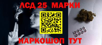 крисы Новокубанск