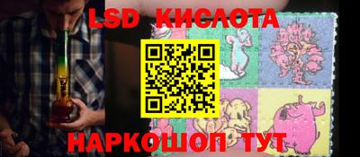 крисы Новокубанск