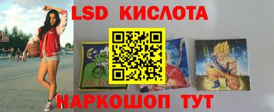 гидра Новодвинск