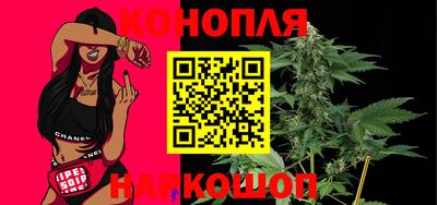 крисы Новокубанск