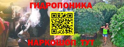 гидра Новодвинск