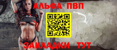 крисы Новокубанск