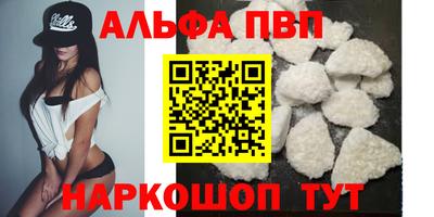 крисы Новокубанск
