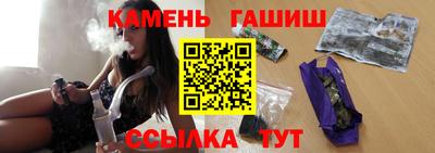 крисы Новокубанск