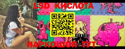 марки nbome Новозыбков