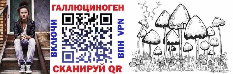 Псилоцибиновые грибы Psilocybine cubensis  Солнечногорск 