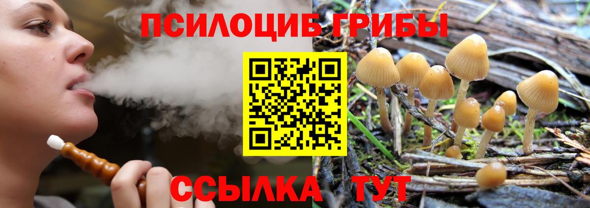 Псилоцибиновые грибы Psilocybine cubensis  Вход с VPN  Солнечногорск 