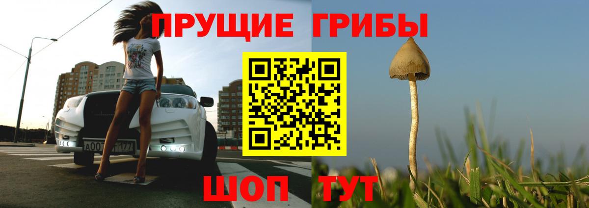 Псилоцибиновые грибы мицелий Солнечногорск